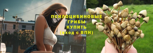 амф Карталы