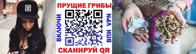 Купить где  Буйнакск  Псилоцибиновые грибы Magic Shrooms 